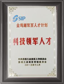 金雞湖雙百人才計劃科技領(lǐng)軍人才獎牌
